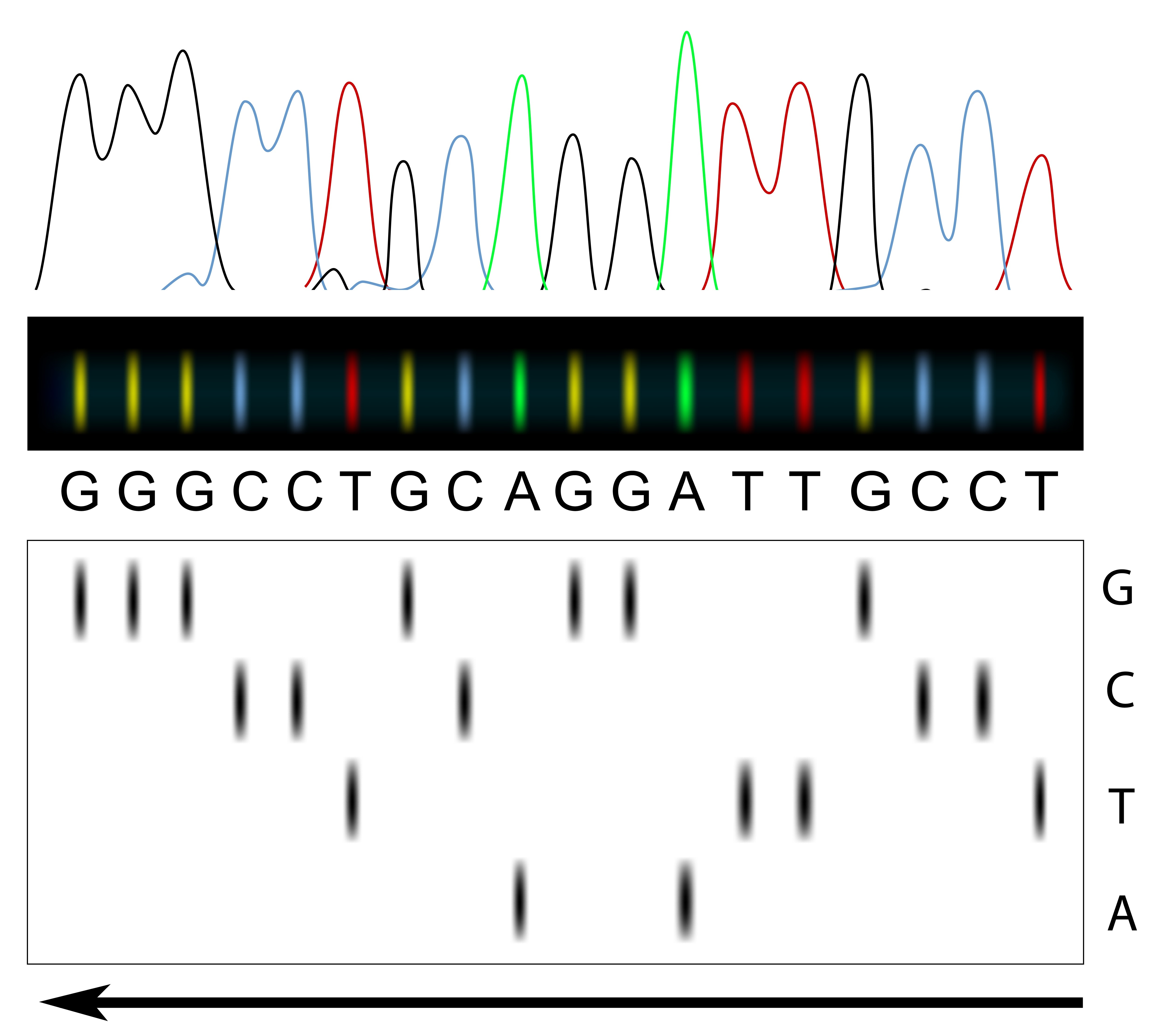 Uitleg sequencing