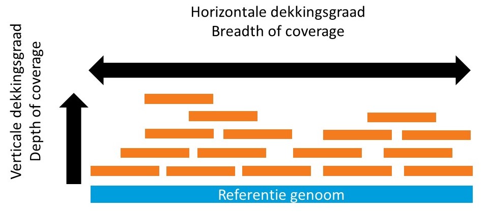 uitleg horizontale en verticale dekkingsgraad NGS