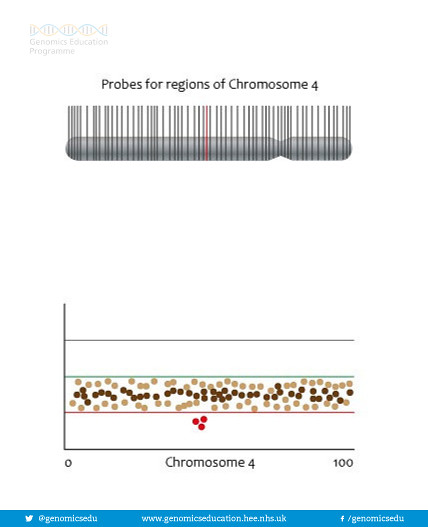 Microarray